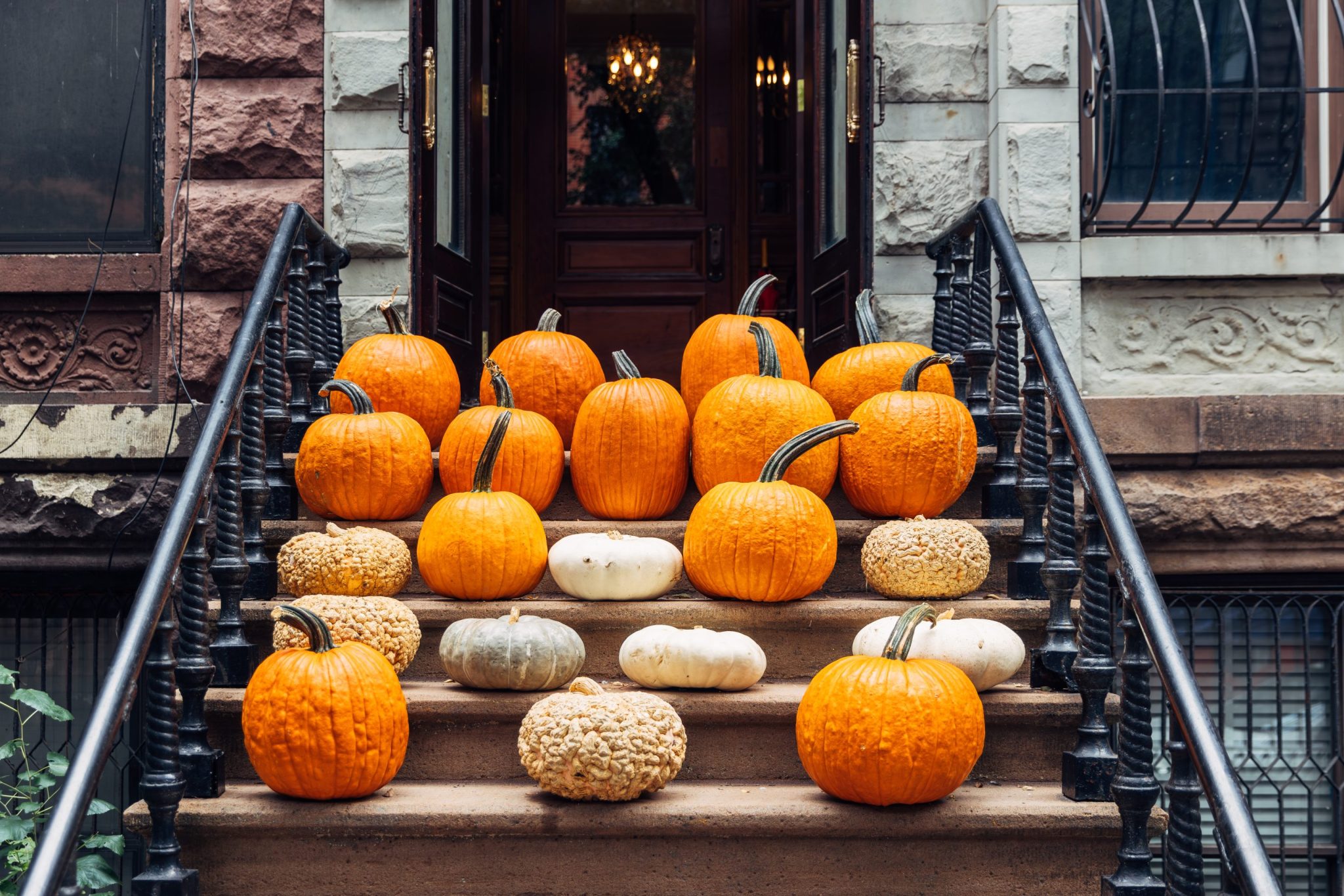 Americans are paying up to $2,000 to have pumpkins arranged on their porches—and one Texas side hustle turned it into a six-figure franchise