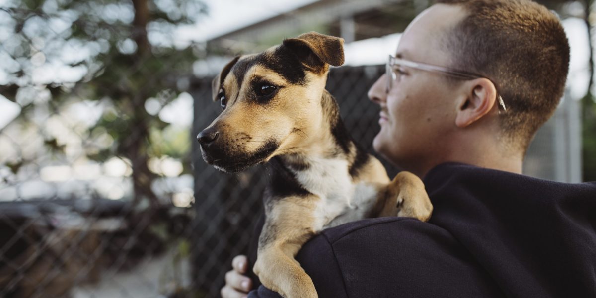 Merck Animal Health SVP: to promote human health, invest in protecting animals Merck Animal Health SVP: to promote human health, invest in protecting animals