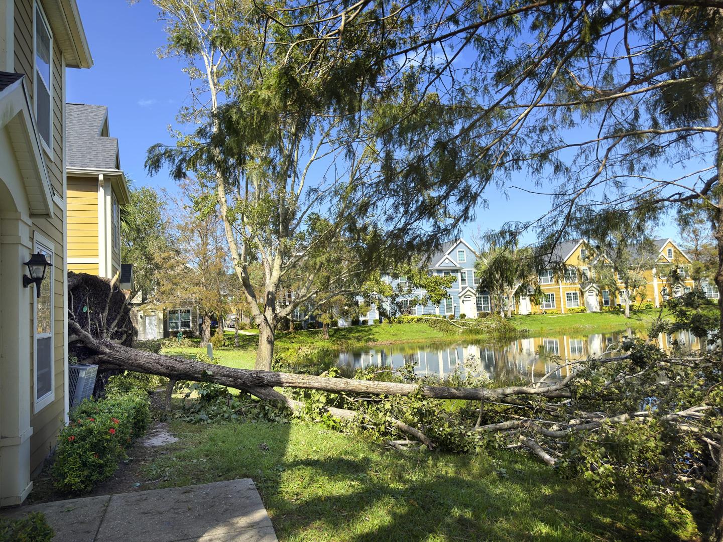 A tree collapsed into a house.