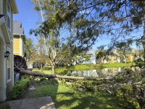 Does home insurance cover storm damage?