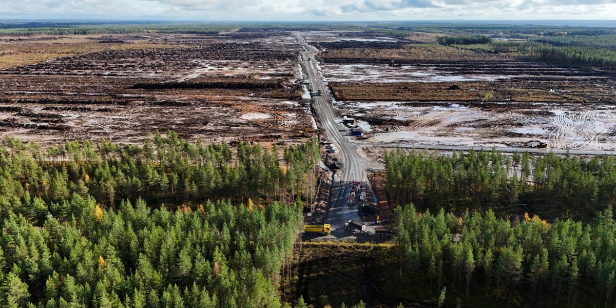 Google told to halt work on Finnish data centers after clearing an estimated 250,000 trees before environmental review was done