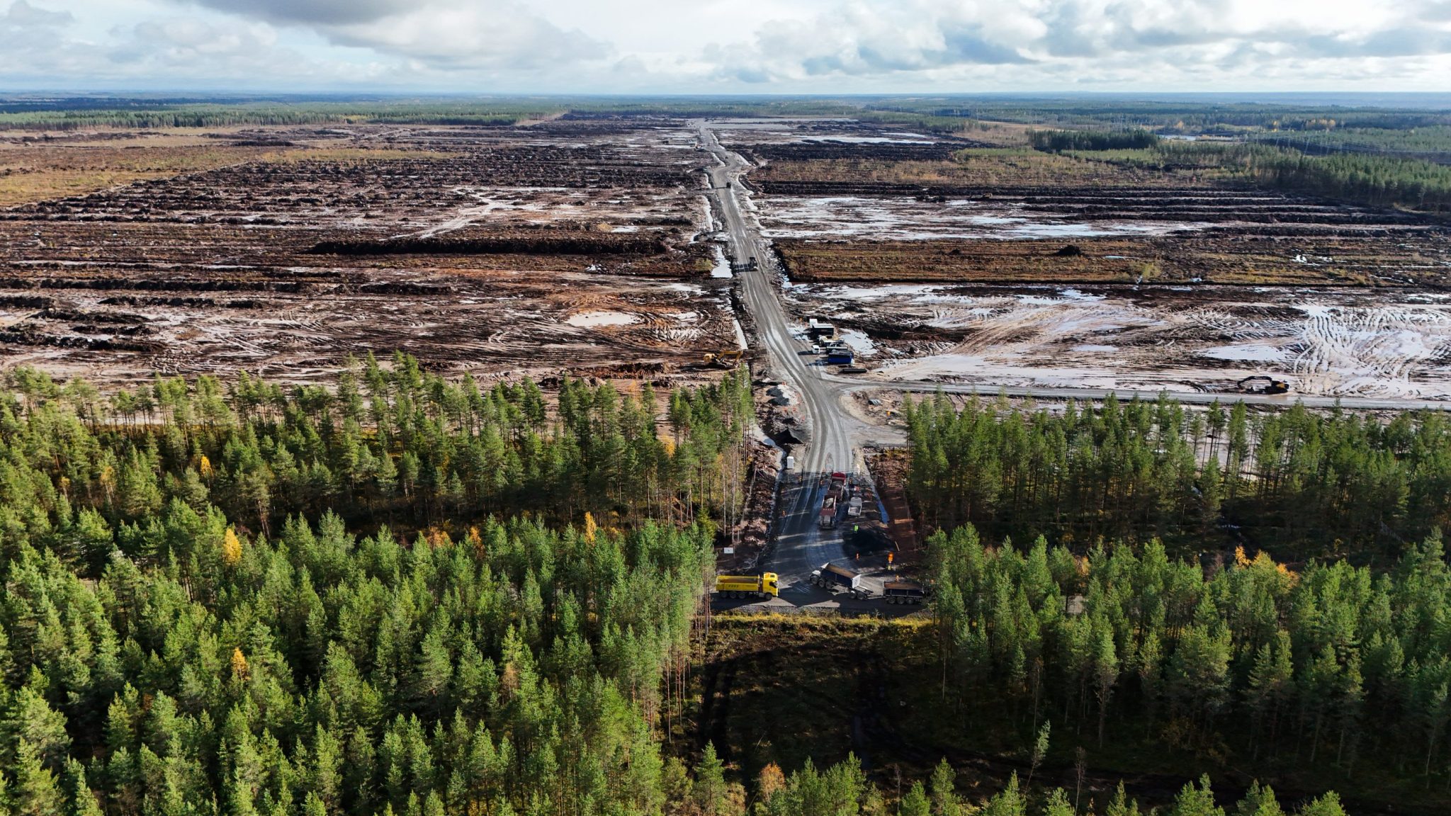 Google told to halt work on Finnish data centers after clearing an estimated 250,000 trees before environmental review was done