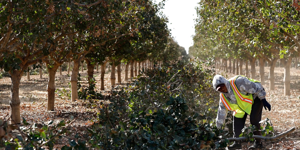 Image from fortune.com