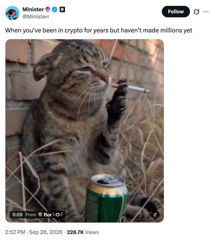 X post by user @Ministerr depicts a gif of a cat smoking, crying, and drinking a beer. Reads: "When you've been in crypto for years but haven't made millions yet."