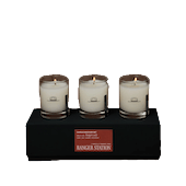 Ranger Station Candles